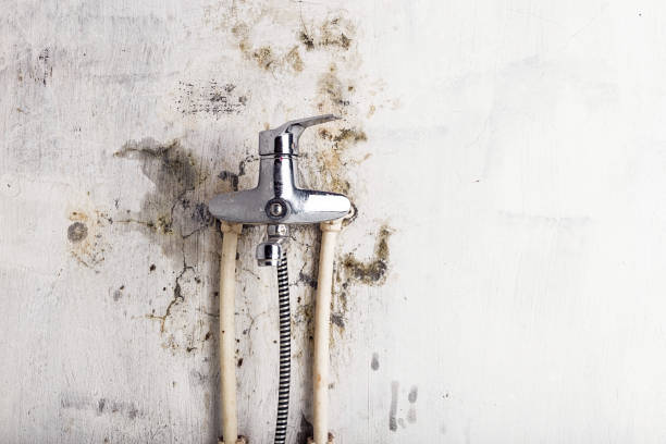 Best Water Damage Restoration  in South Whittier, CA
