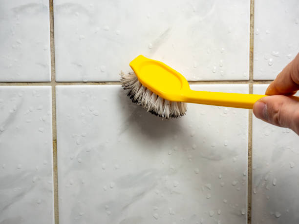 Best Certified Mold Removal  in South Whittier, CA