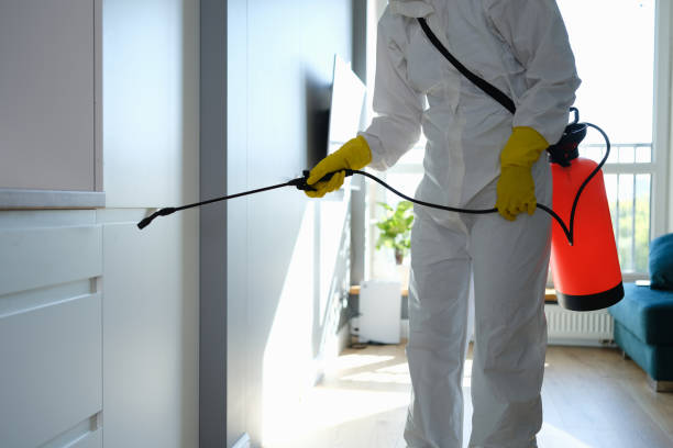 Mold Testing and Removal in South Whittier, CA