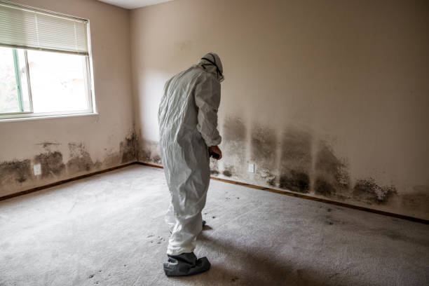 Best Mold Testing  in South Whittier, CA